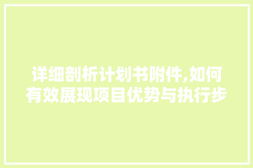 详细剖析计划书附件,如何有效展现项目优势与执行步骤