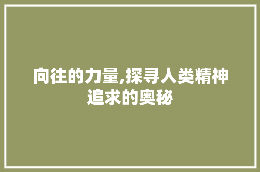向往的力量,探寻人类精神追求的奥秘