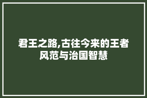 君王之路,古往今来的王者风范与治国智慧