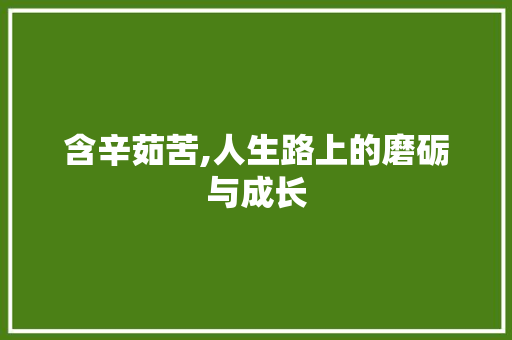 含辛茹苦,人生路上的磨砺与成长