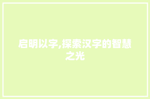 启明以字,探索汉字的智慧之光 工作计划