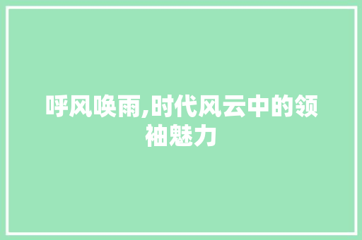 呼风唤雨,时代风云中的领袖魅力 国学经典