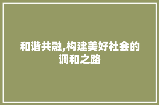 和谐共融,构建美好社会的调和之路