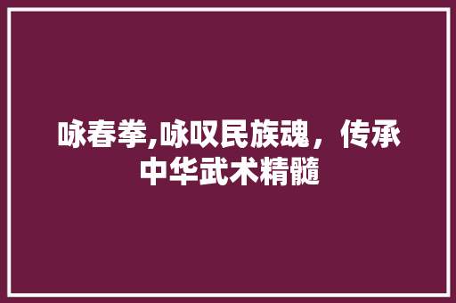 咏春拳,咏叹民族魂，传承中华武术精髓