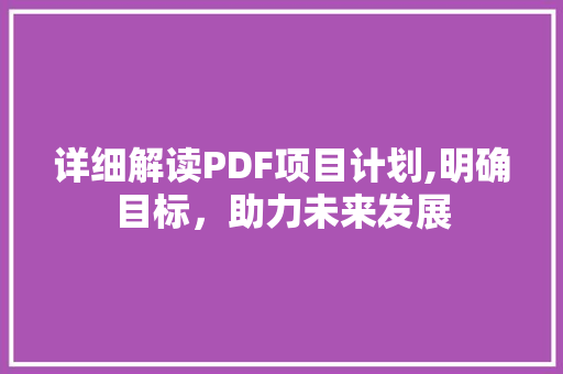 详细解读PDF项目计划,明确目标，助力未来发展