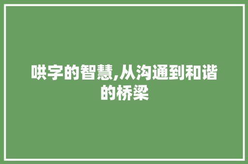 哄字的智慧,从沟通到和谐的桥梁 演讲稿