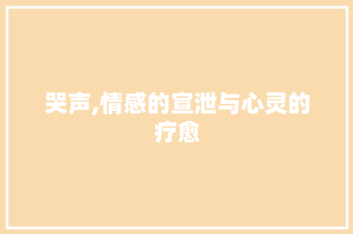 哭声,情感的宣泄与心灵的疗愈 个人简历