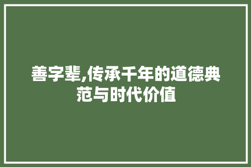 善字辈,传承千年的道德典范与时代价值 工作计划