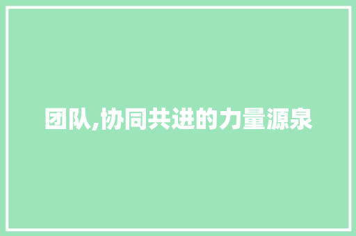 团队,协同共进的力量源泉