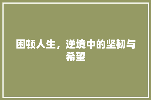 困顿人生，逆境中的坚韧与希望 国学经典