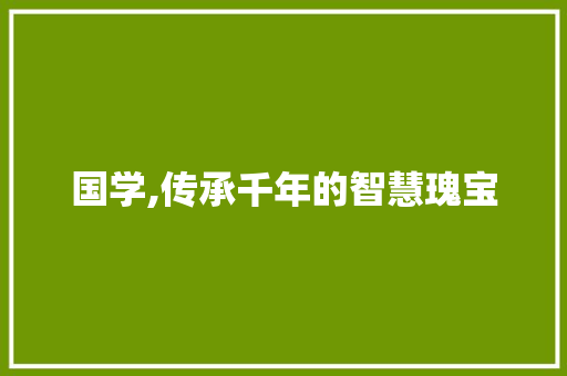 国学,传承千年的智慧瑰宝 成语大全