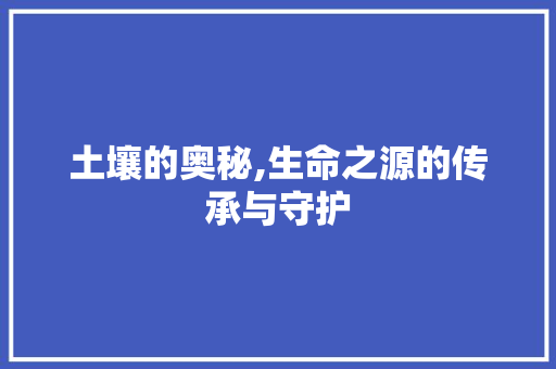 土壤的奥秘,生命之源的传承与守护