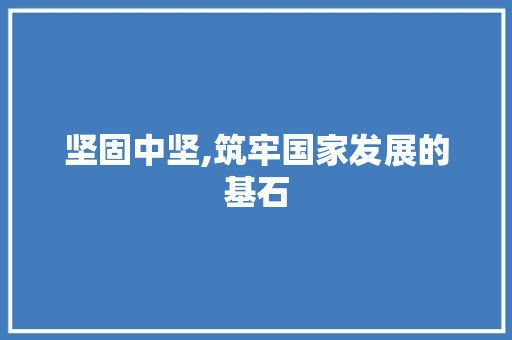 坚固中坚,筑牢国家发展的基石