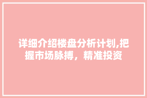 详细介绍楼盘分析计划,把握市场脉搏，精准投资