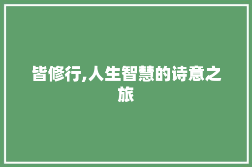 皆修行,人生智慧的诗意之旅