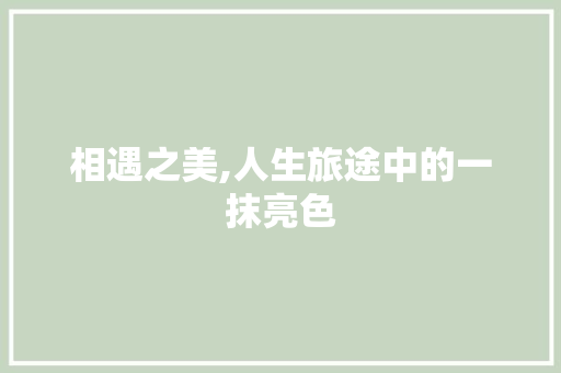 相遇之美,人生旅途中的一抹亮色