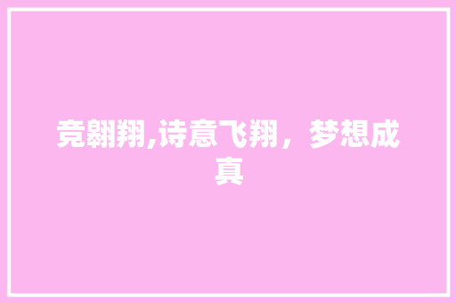 竞翱翔,诗意飞翔，梦想成真