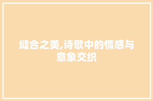 缝合之美,诗歌中的情感与意象交织