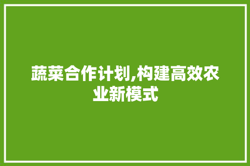 蔬菜合作计划,构建高效农业新模式