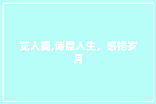 览人间,诗意人生，感悟岁月