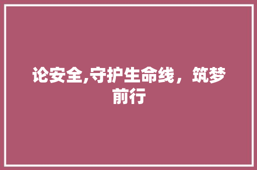 论安全,守护生命线，筑梦前行
