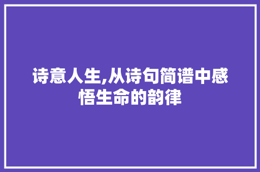 诗意人生,从诗句简谱中感悟生命的韵律