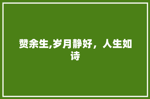 赞余生,岁月静好，人生如诗