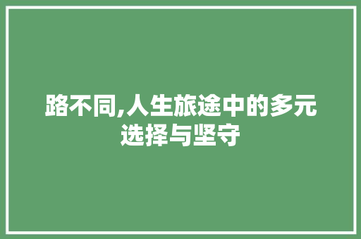 路不同,人生旅途中的多元选择与坚守