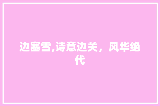 边塞雪,诗意边关，风华绝代