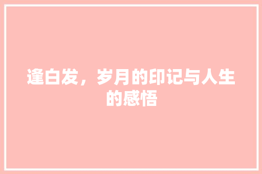 逢白发，岁月的印记与人生的感悟