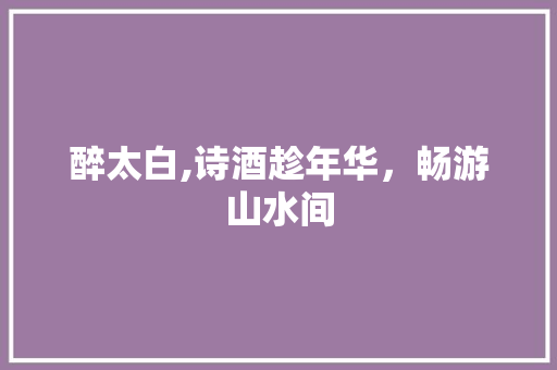 醉太白,诗酒趁年华，畅游山水间