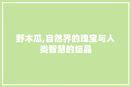 野木瓜,自然界的瑰宝与人类智慧的结晶