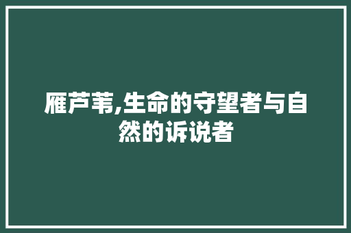雁芦苇,生命的守望者与自然的诉说者