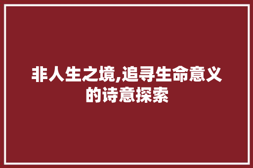 非人生之境,追寻生命意义的诗意探索