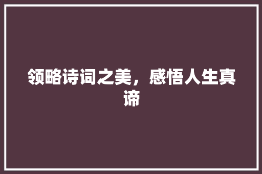 领略诗词之美，感悟人生真谛