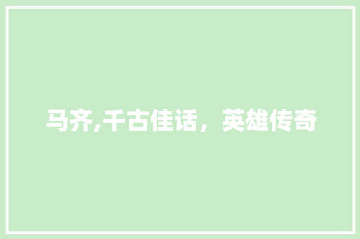 马齐,千古佳话，英雄传奇