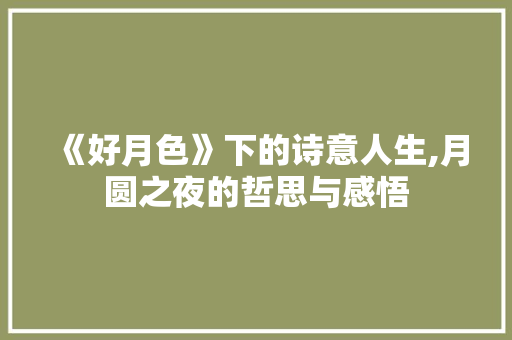 《好月色》下的诗意人生,月圆之夜的哲思与感悟