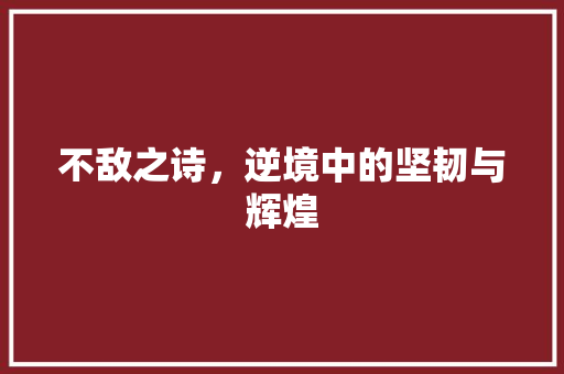 不敌之诗，逆境中的坚韧与辉煌