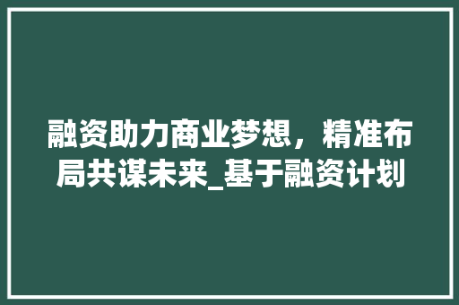 融资助力商业梦想，精准布局共谋未来_基于融资计划与商业计划的战略分析