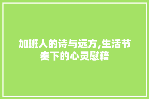 加班人的诗与远方,生活节奏下的心灵慰藉 工作总结