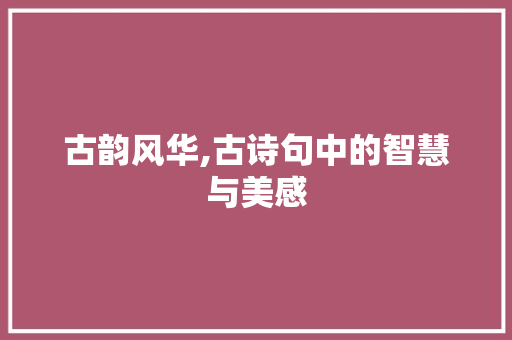 古韵风华,古诗句中的智慧与美感