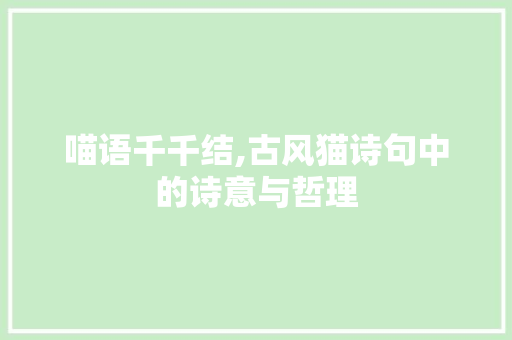 喵语千千结,古风猫诗句中的诗意与哲理