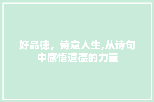 好品德，诗意人生,从诗句中感悟道德的力量