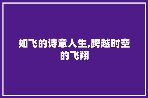 如飞的诗意人生,跨越时空的飞翔