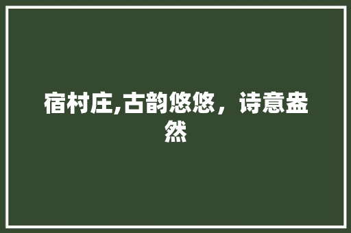宿村庄,古韵悠悠，诗意盎然