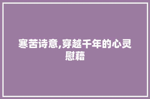 寒苦诗意,穿越千年的心灵慰藉