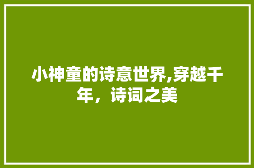 小神童的诗意世界,穿越千年，诗词之美