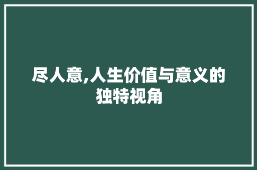 尽人意,人生价值与意义的独特视角