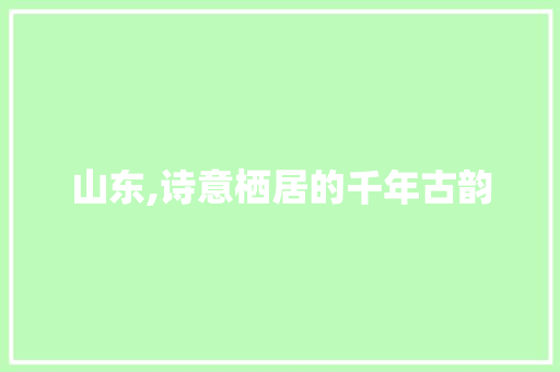 山东,诗意栖居的千年古韵