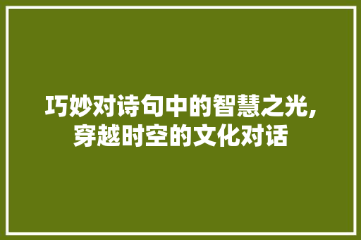 巧妙对诗句中的智慧之光,穿越时空的文化对话